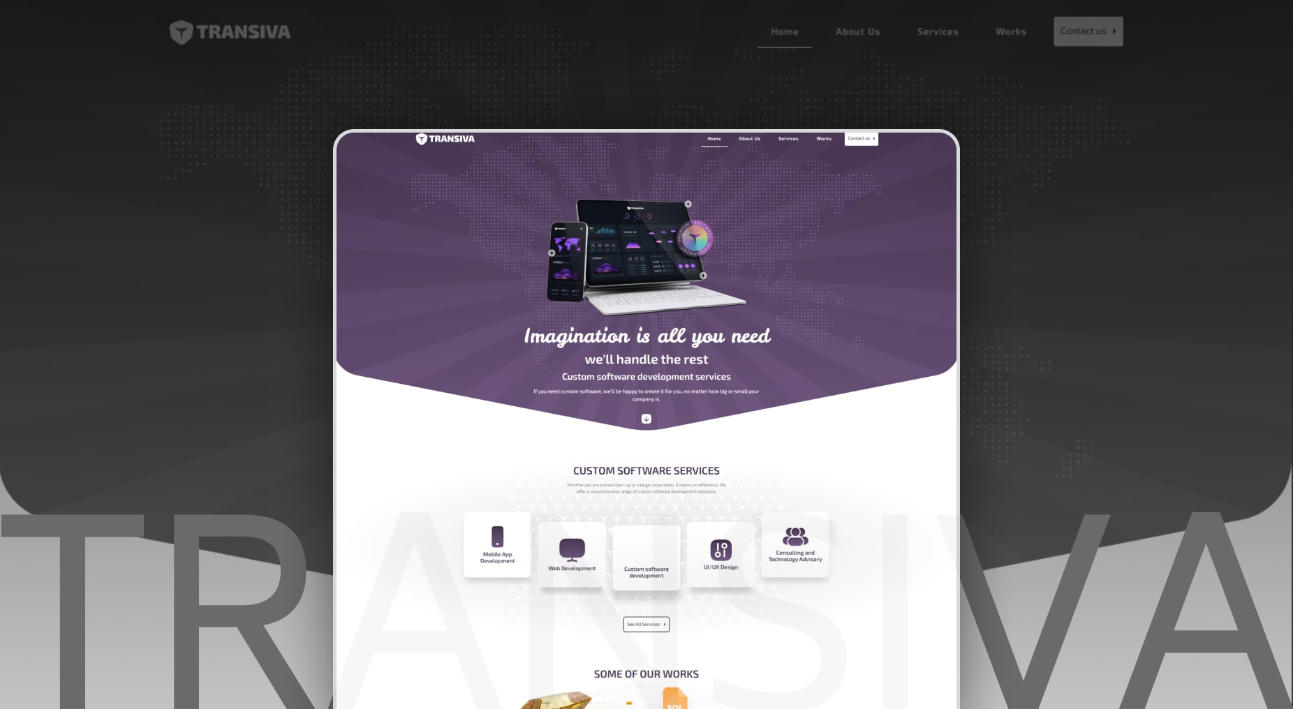 Transiva Custom software services